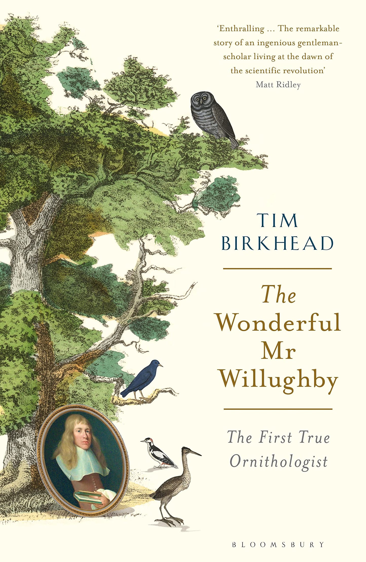 Wonderful MR Willughby: The First True Ornithologist book cover