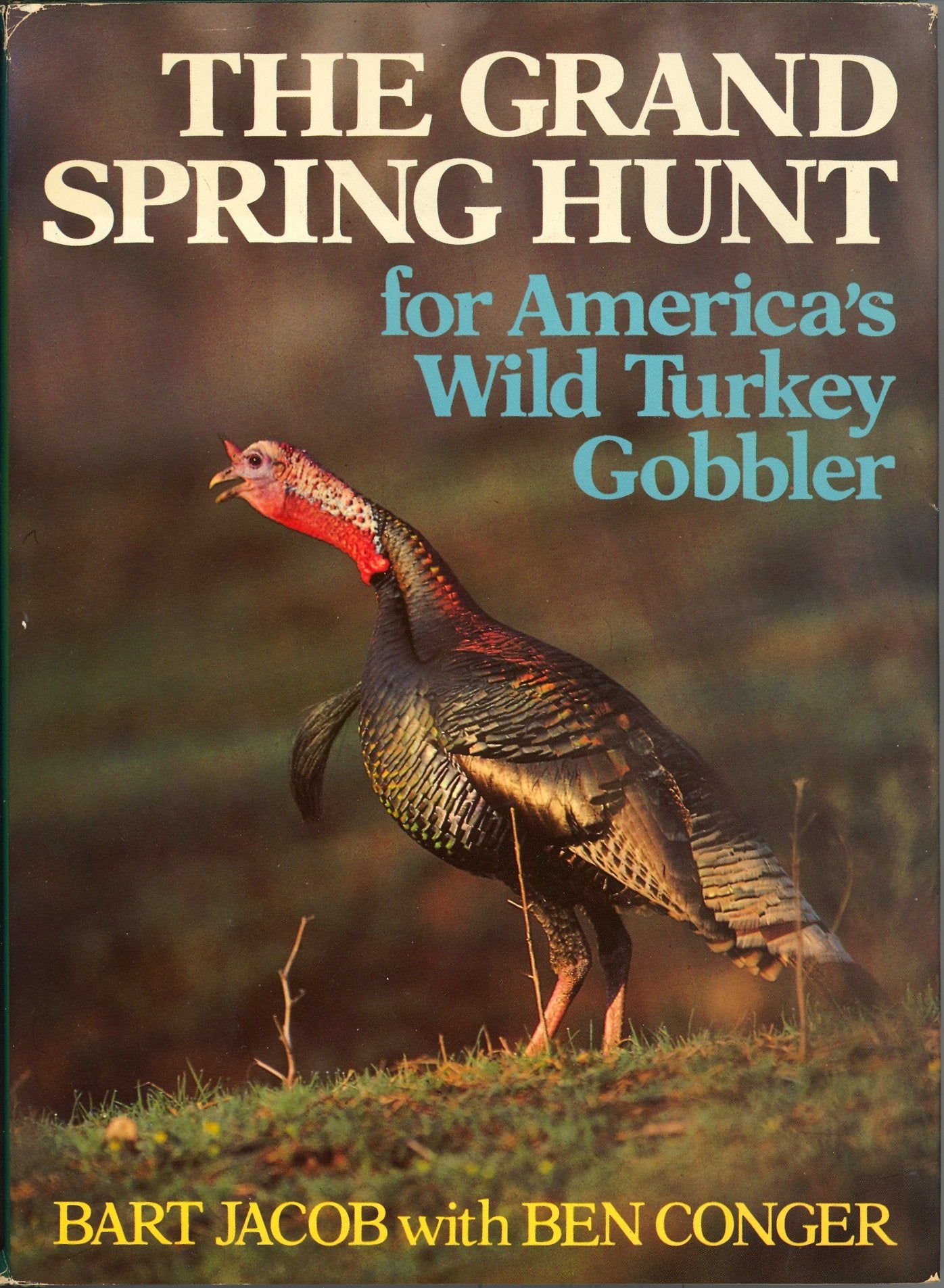 The Grand Spring Hunt: For America's Wild Turkey Gobbler book cover