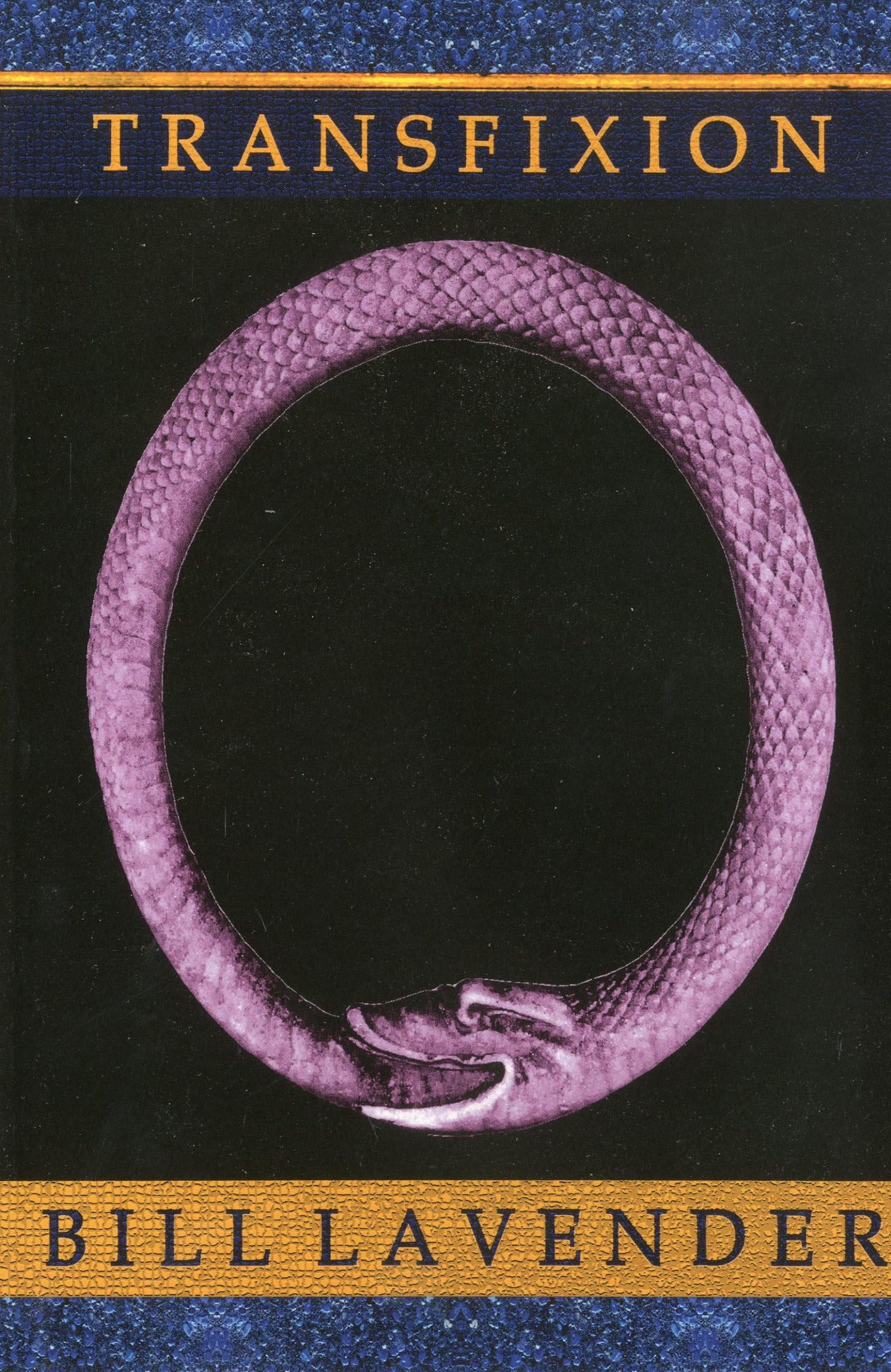 Transfixion book cover