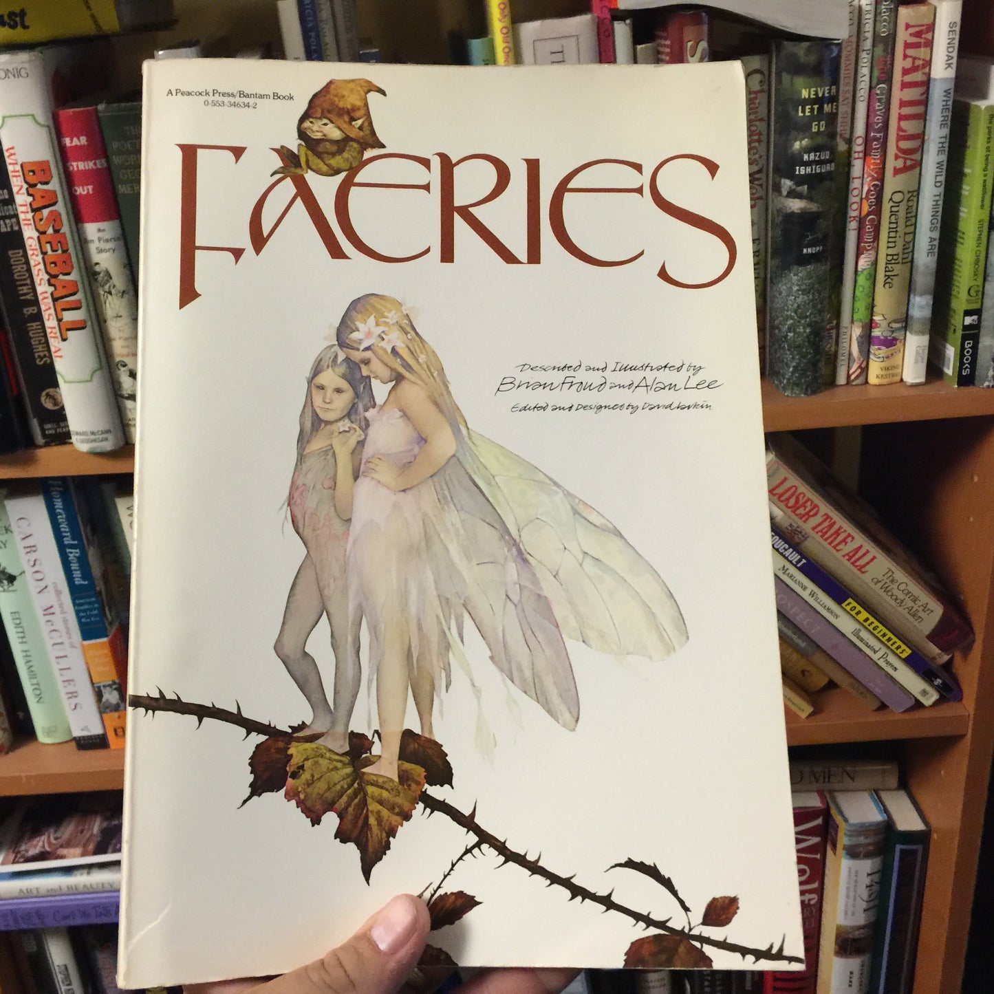 Faeries book cover