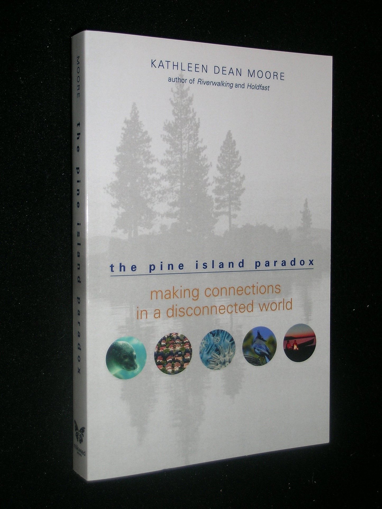 Pine Island Paradox: Making Connections in a Disconnected World book cover