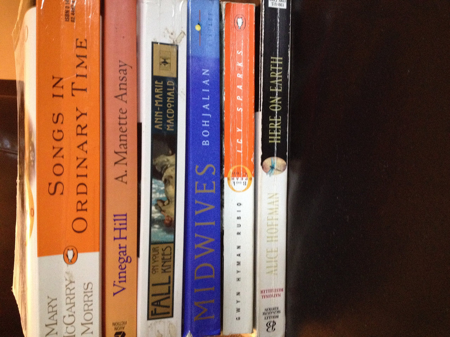 Songs in Ordinary Time (Oprah's Book Club) book cover