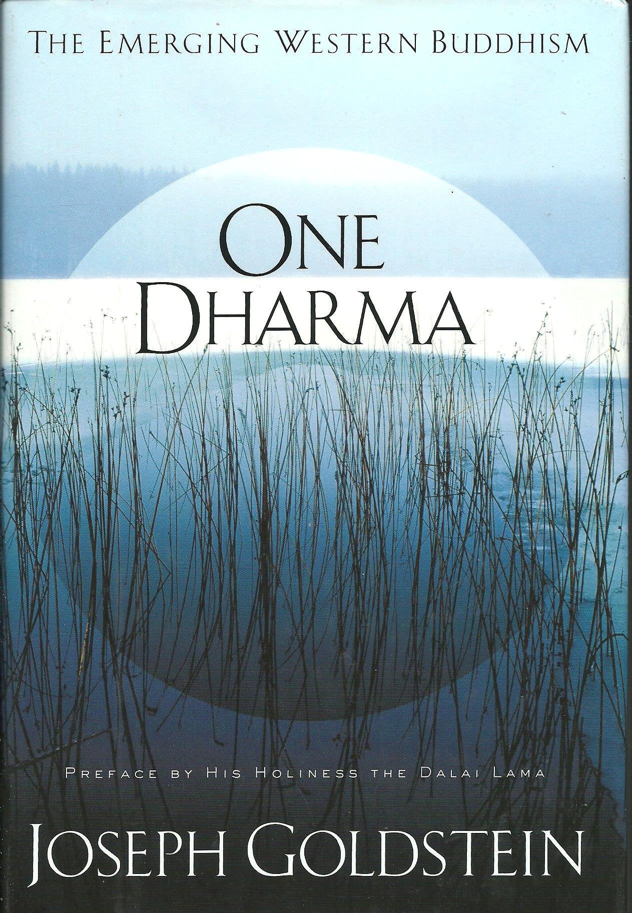 One Dharma: The Emerging Western Buddhism book cover