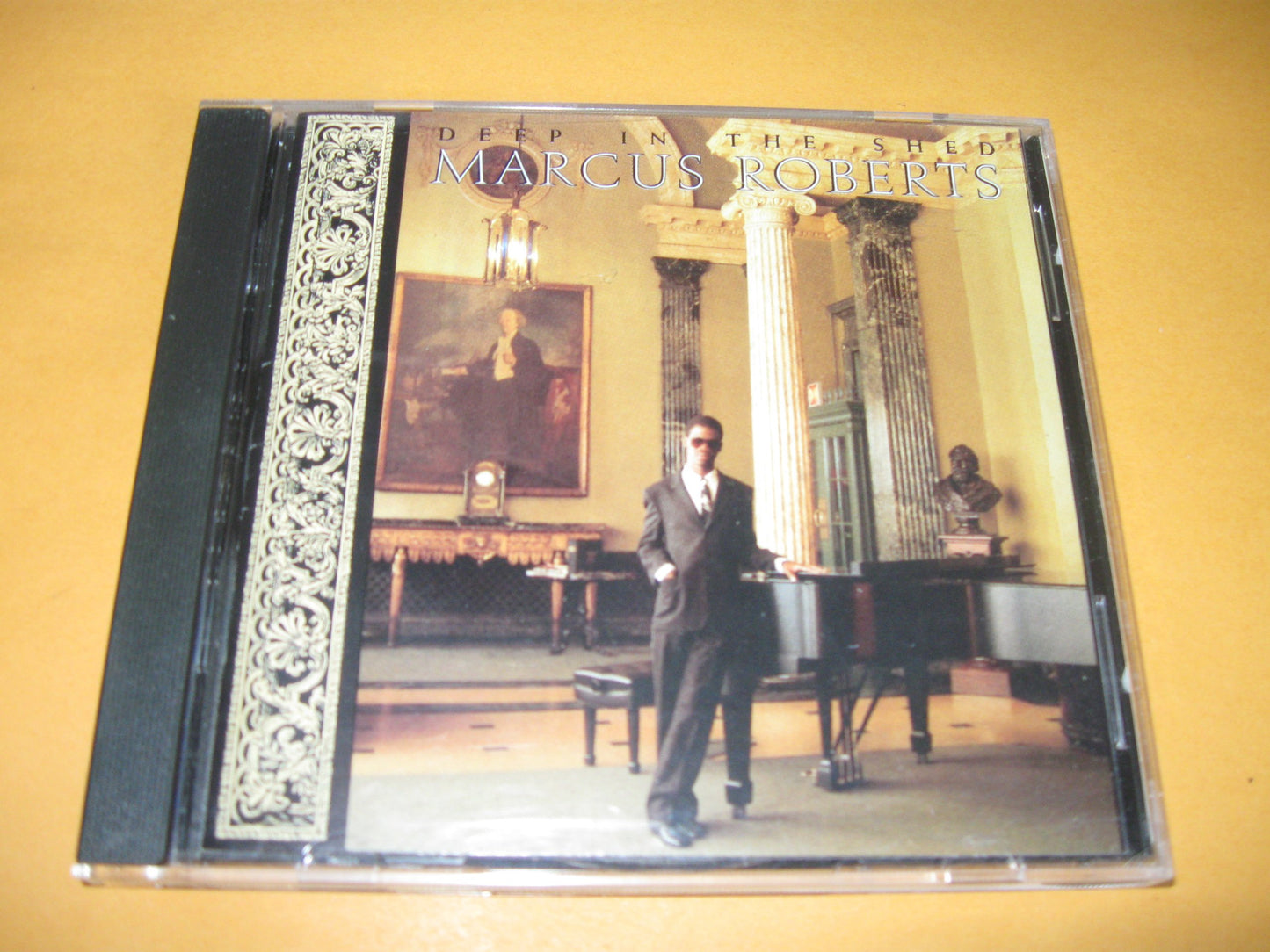 Deep in the Shed book cover