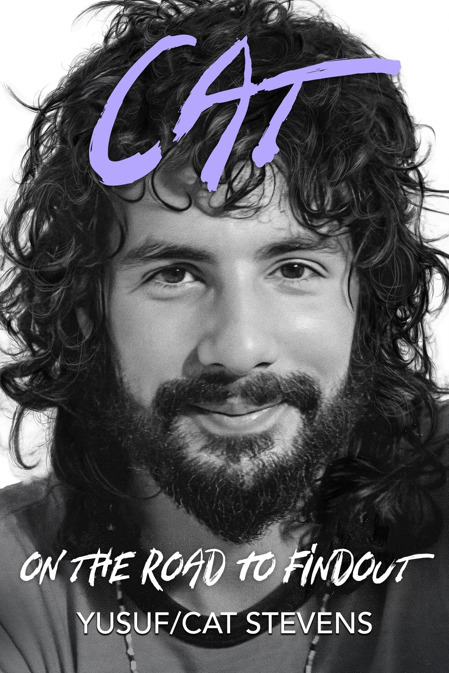 Cat on the Road to Findout book cover