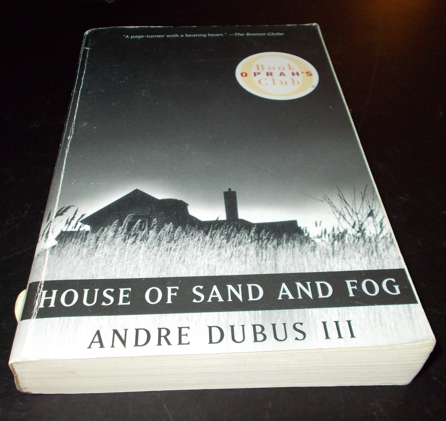 House of Sand and Fog (Oprah's Book Club) (Vintage Contemporaries) book cover