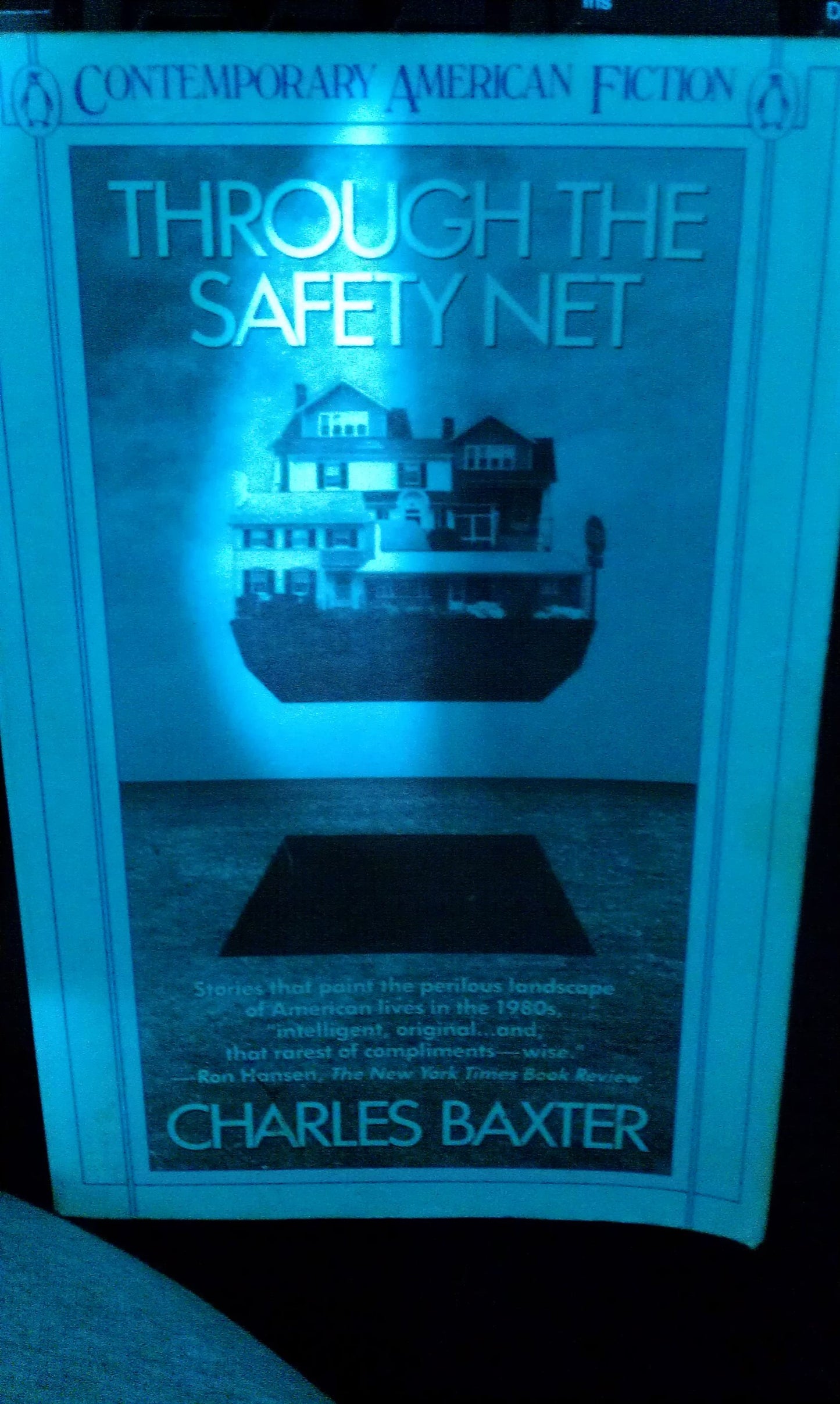 Through the Safety Net book cover