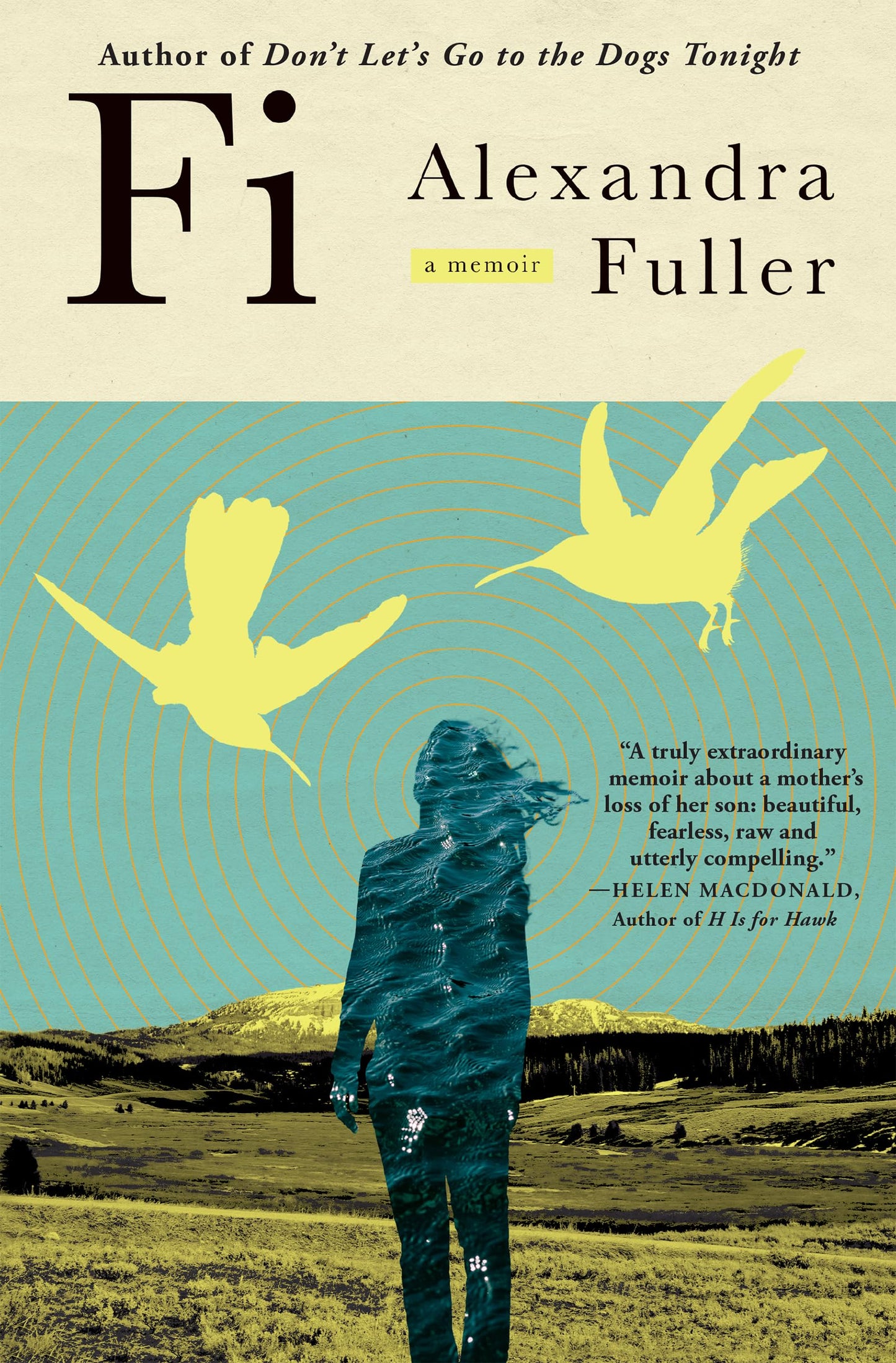 Fi: A Memoir of My Son book cover