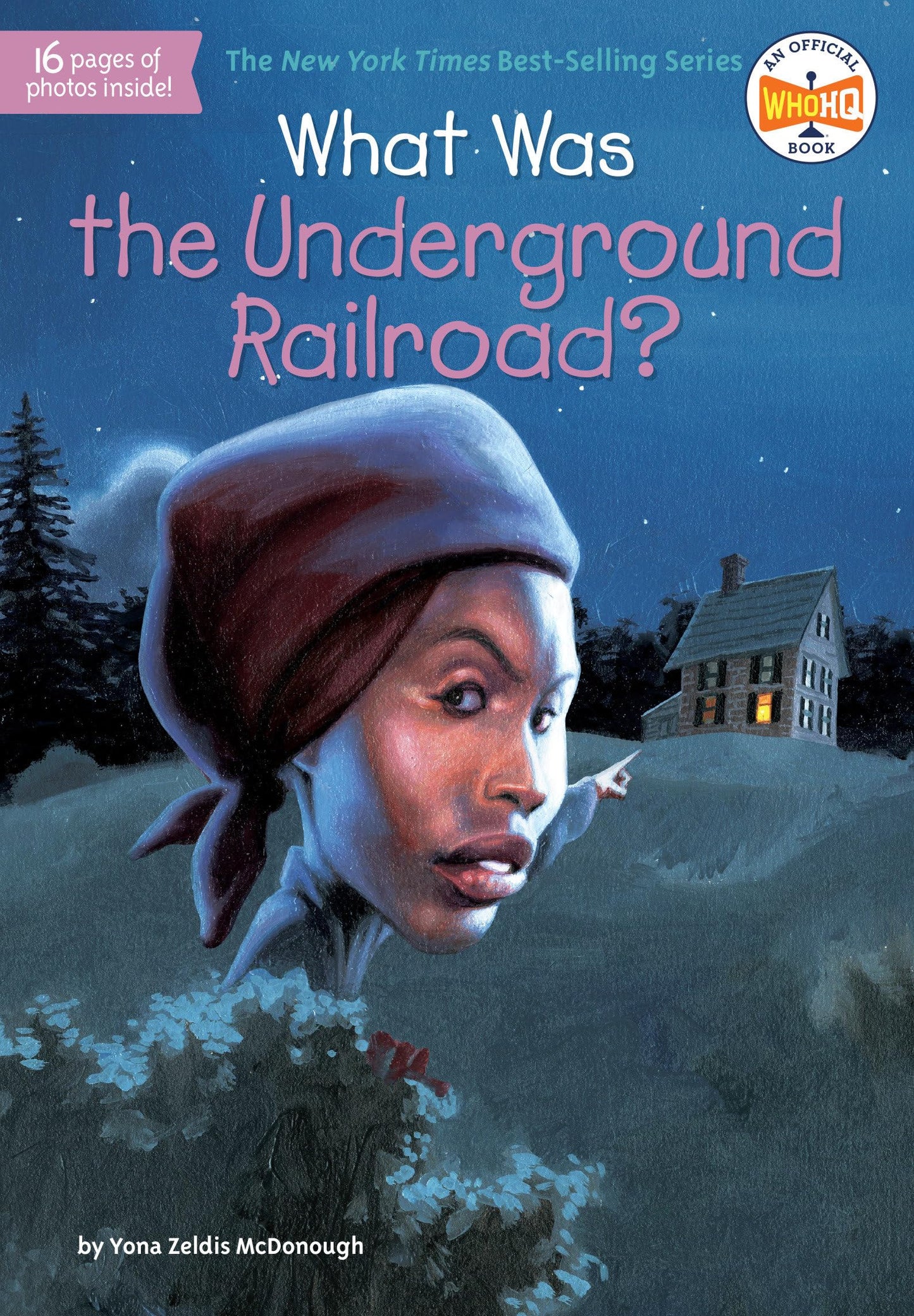What Was the Underground Railroad? book cover