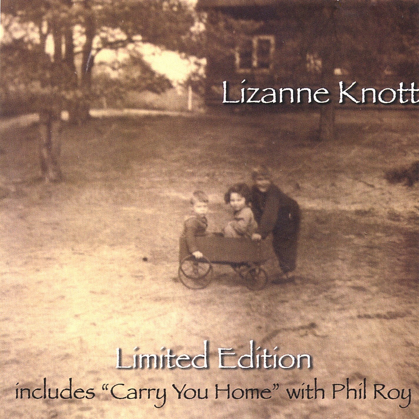 Lizanne Knott book cover