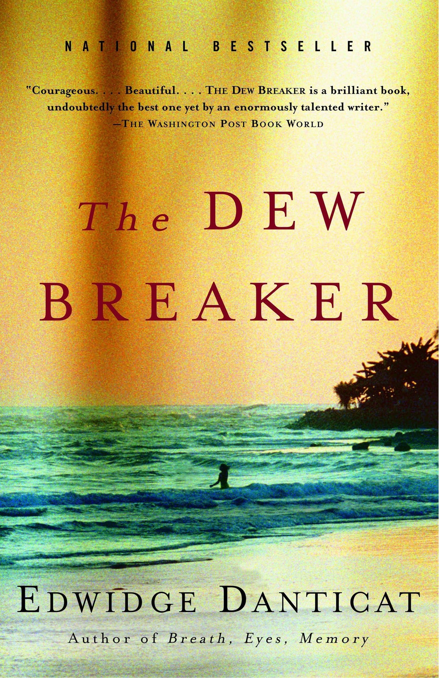 Dew Breaker book cover