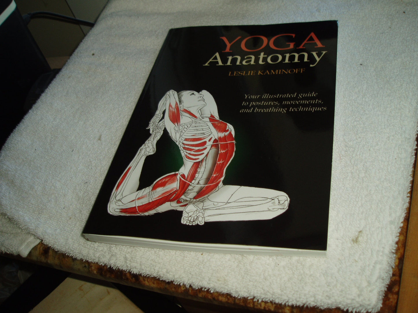 Yoga Anatomy book cover