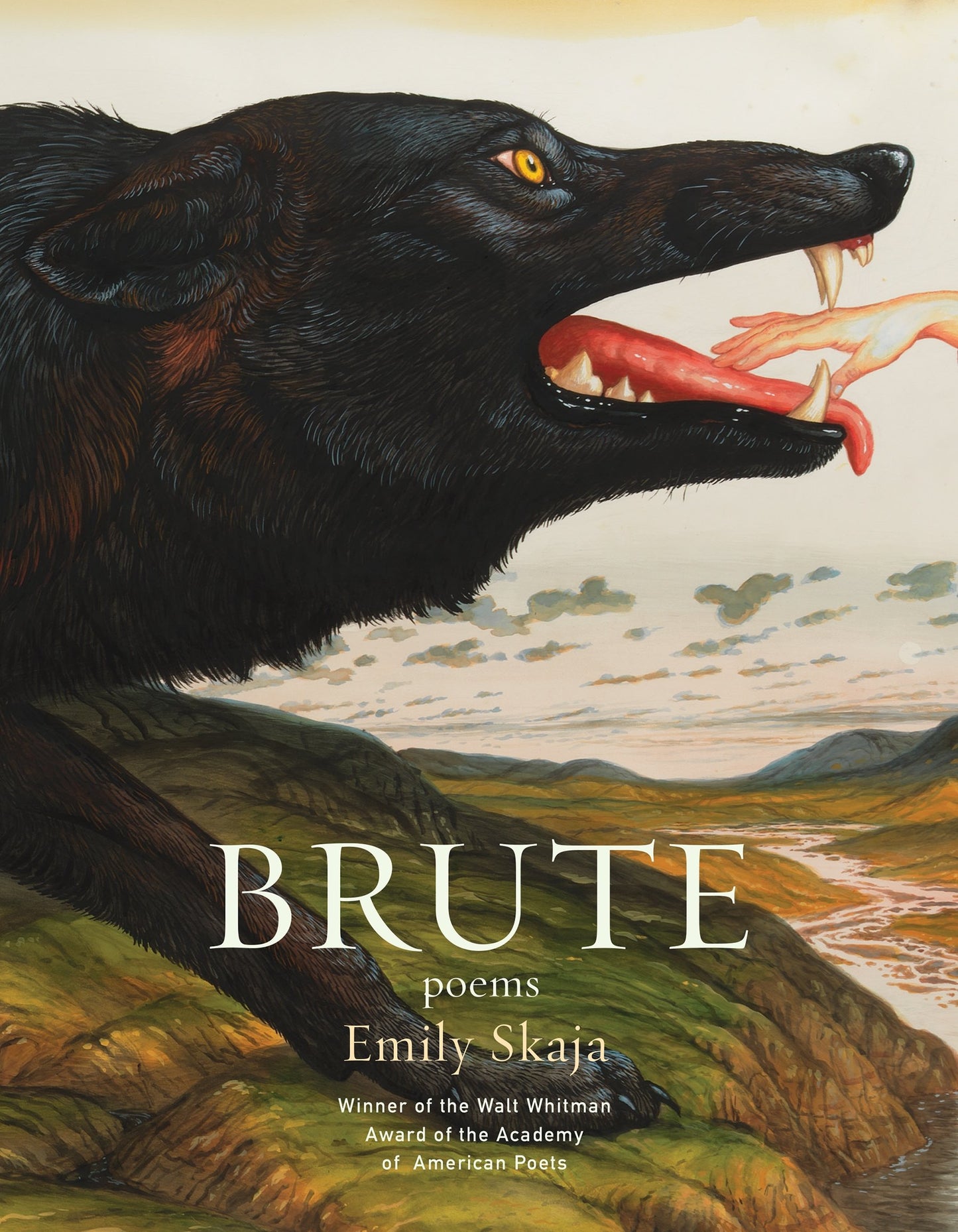 Brute book cover