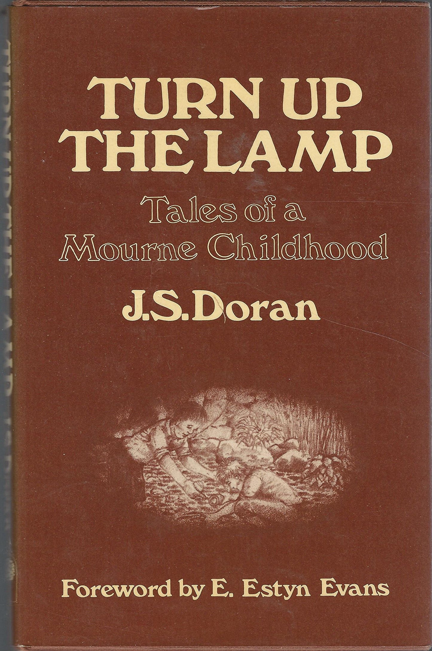 Turn up the lamp: Tales of a Mourne childhood book cover