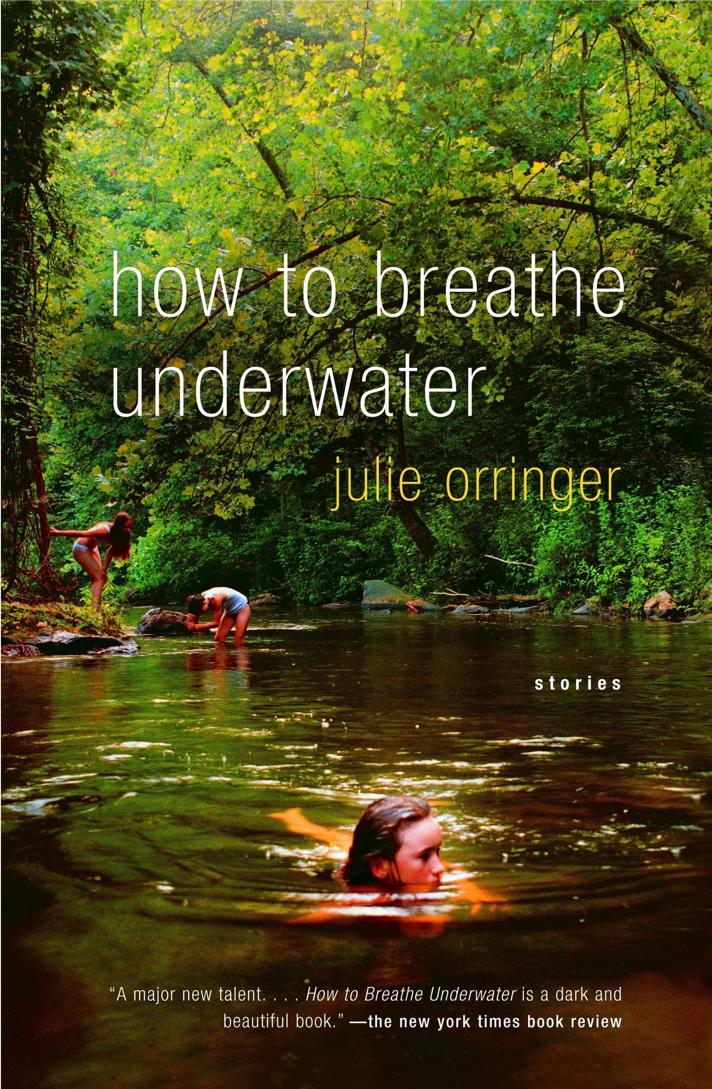 How to Breathe Underwater book cover