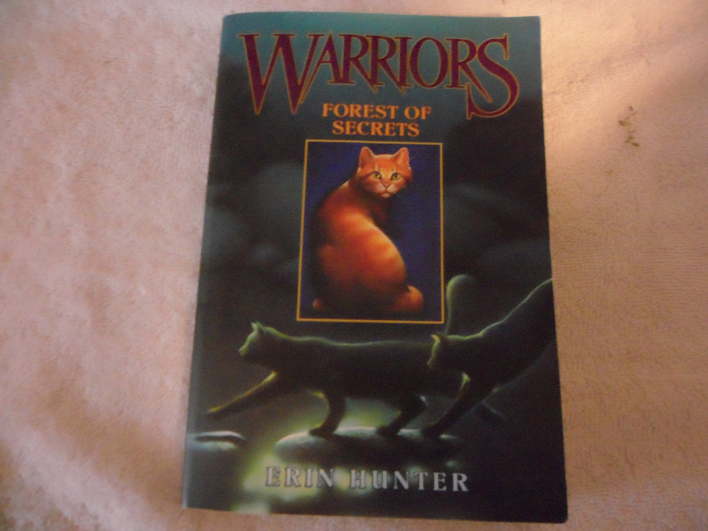 Forest of Secrets book cover