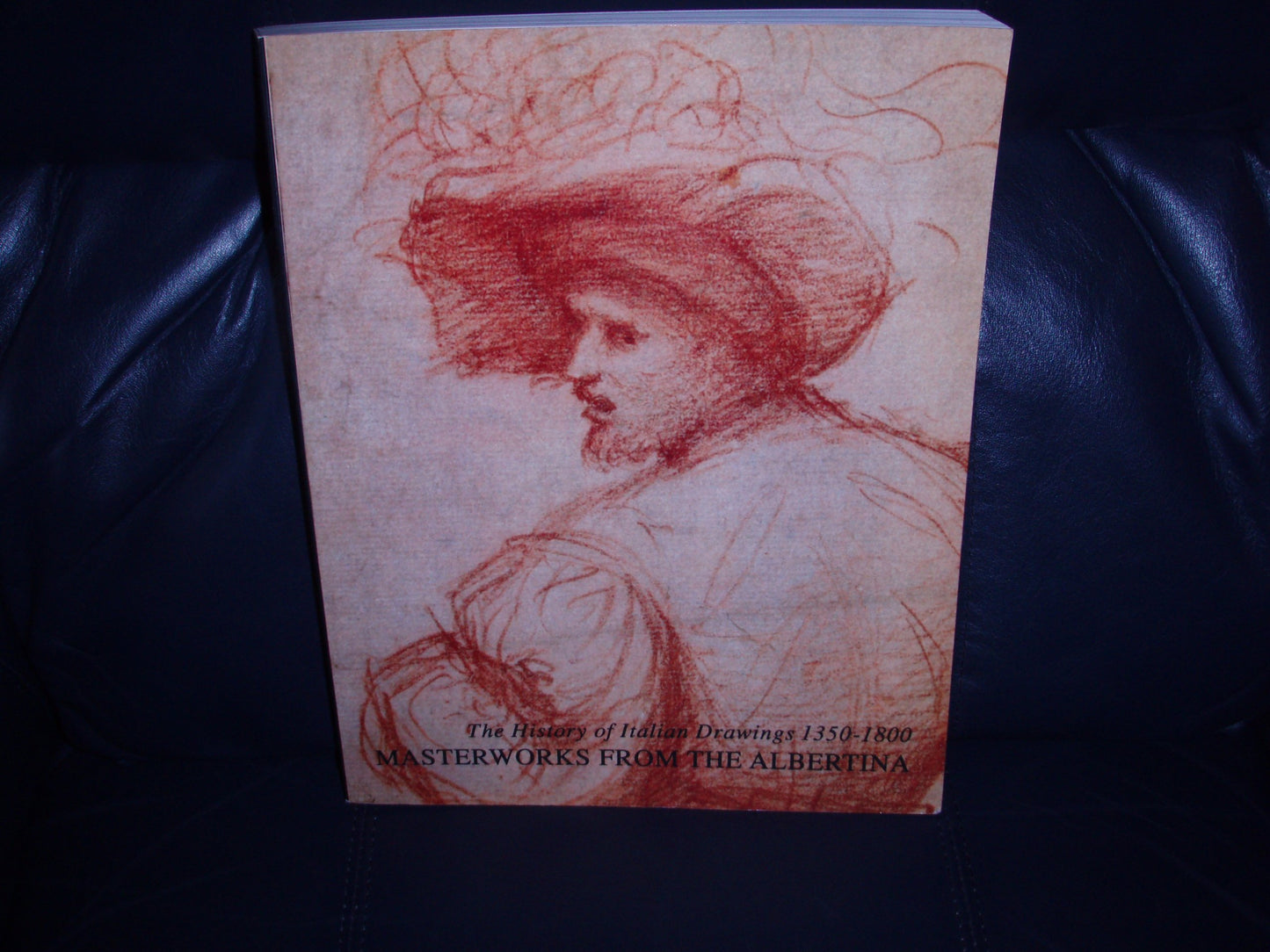 Masterworks from the Albertina (English) book cover