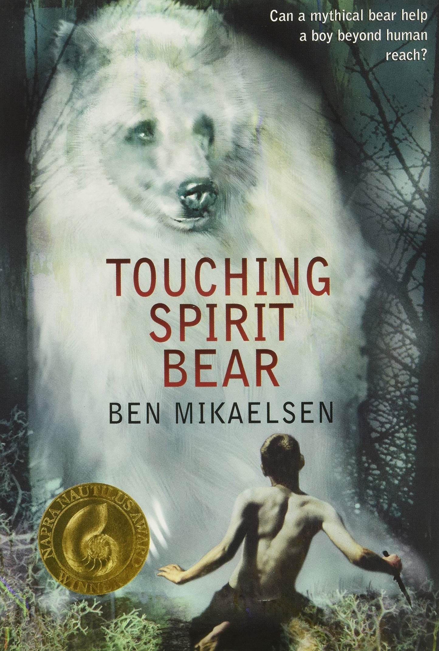 Touching Spirit Bear book cover