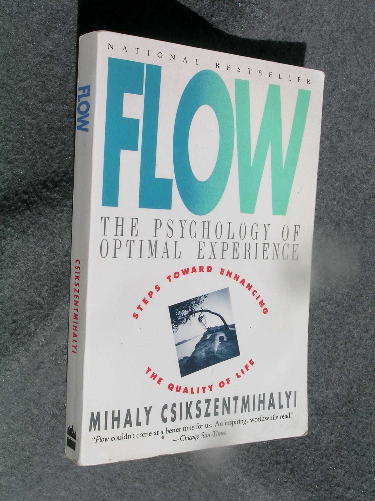 Flow book cover