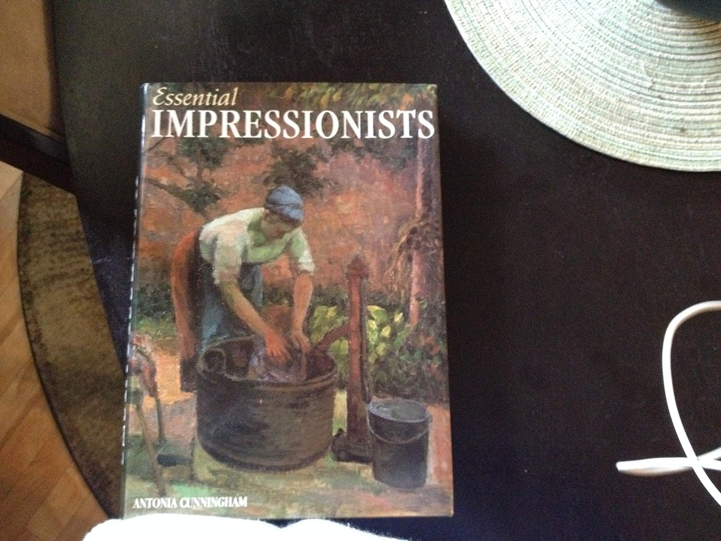 Impressionists book cover