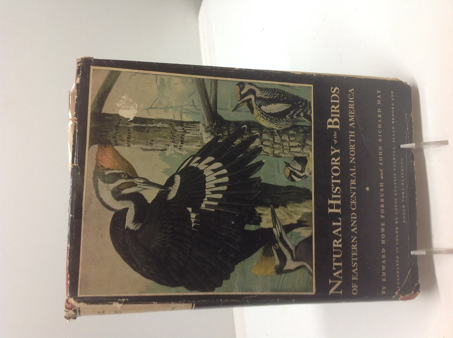 A natural history of American birds of Eastern and Central North America book cover