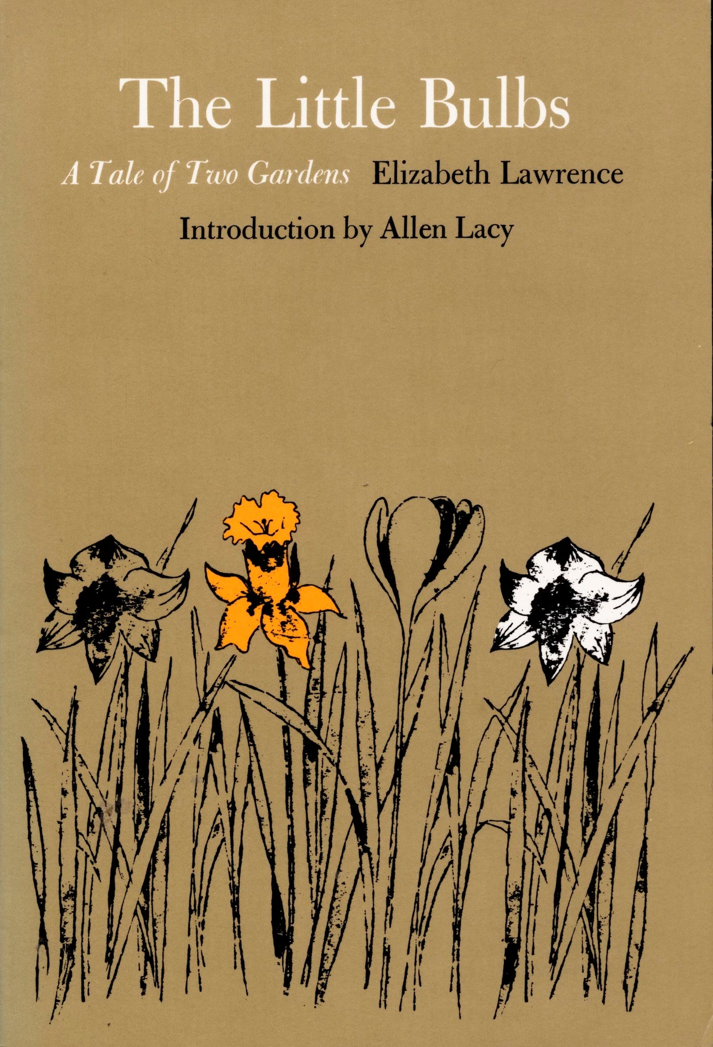 Little Bulbs: A Tale of Two Gardens book cover