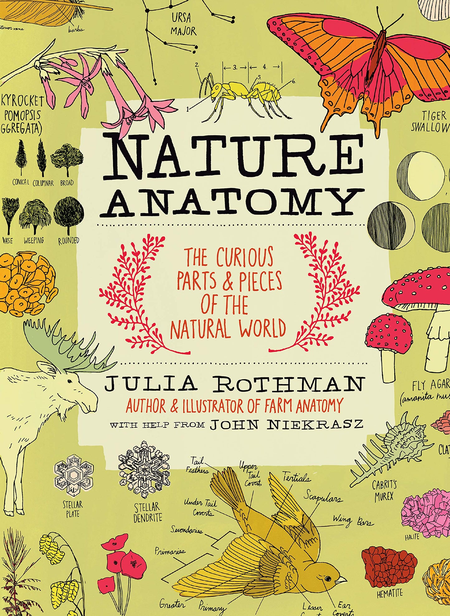 Nature Anatomy: The Curious Parts and Pieces of the Natural World book cover