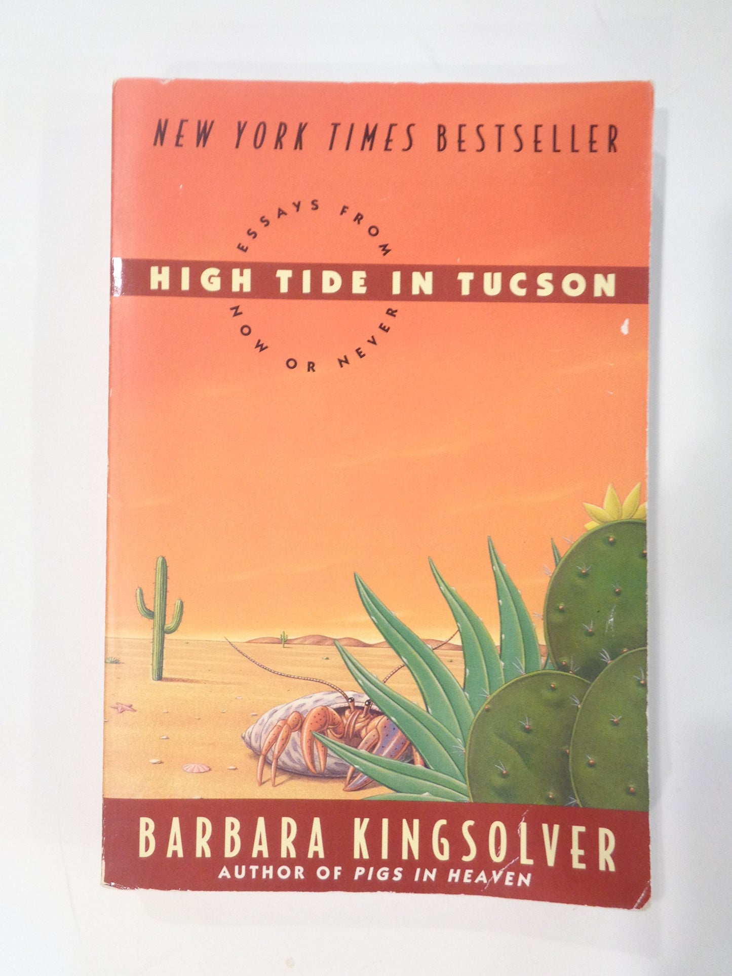 High Tide in Tucson: Essays from Now or Never book cover