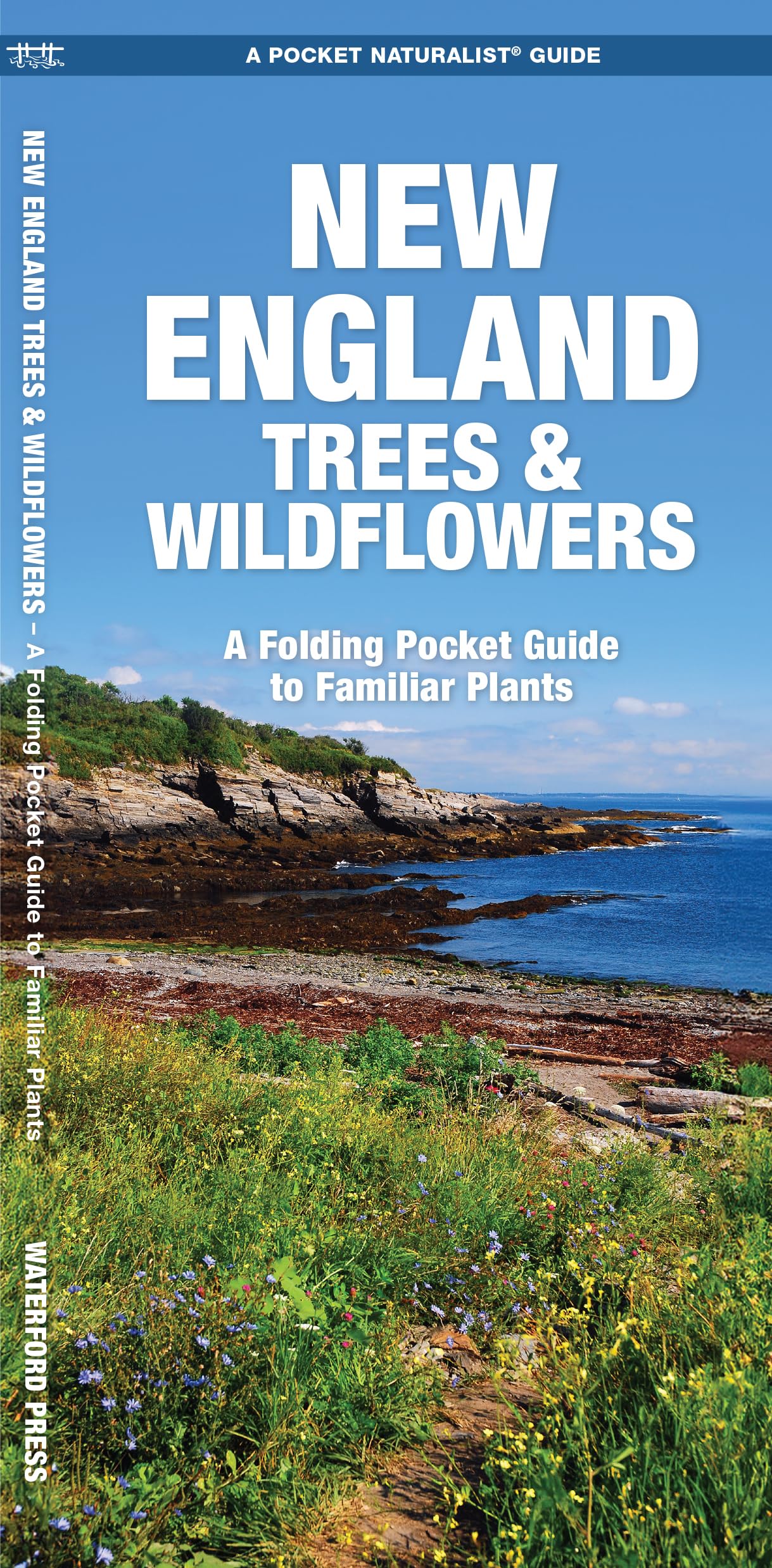 New England Trees & Wildflowers: A Folding Pocket Guide to Familiar Plants book cover