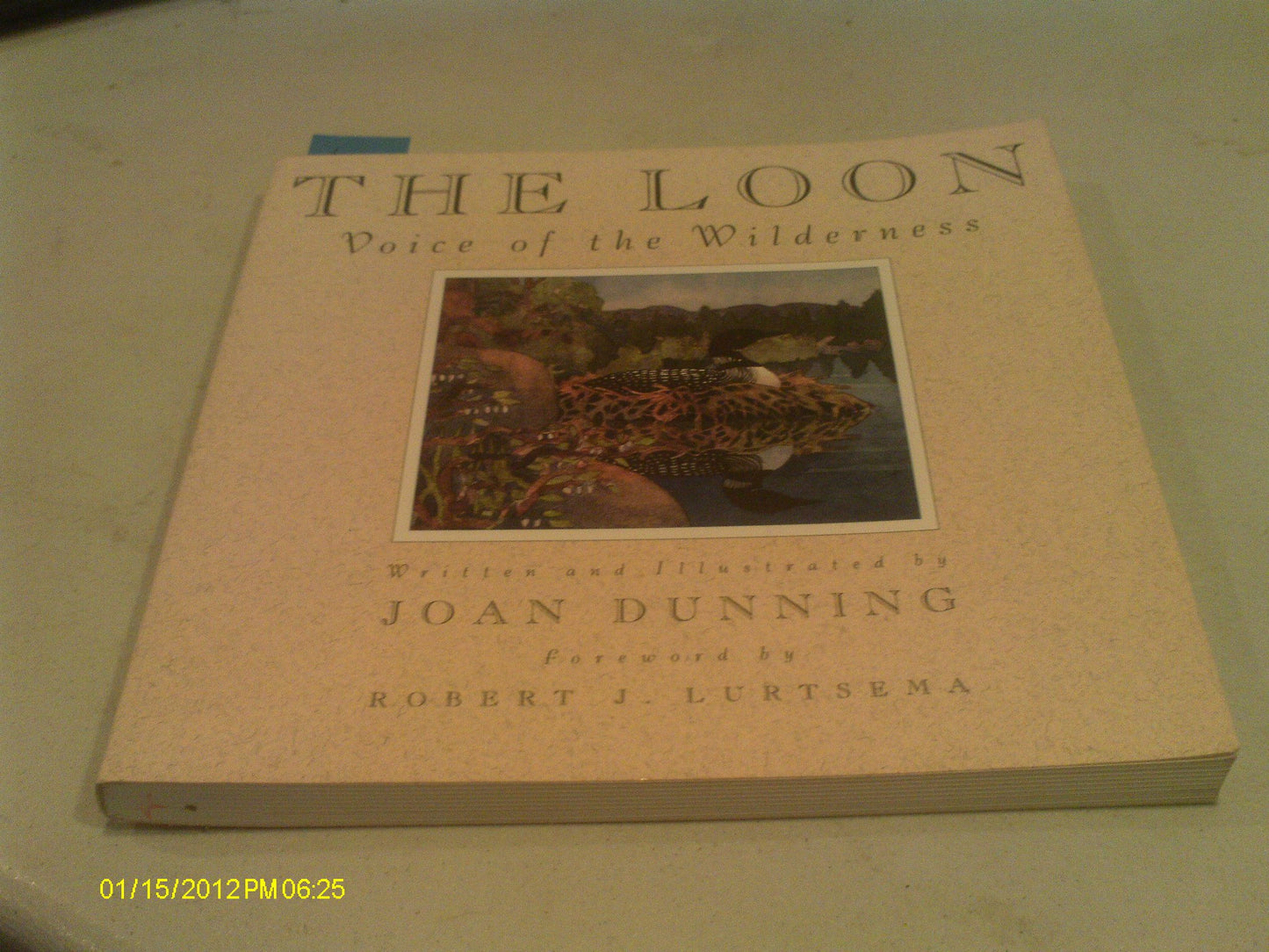 The Loon