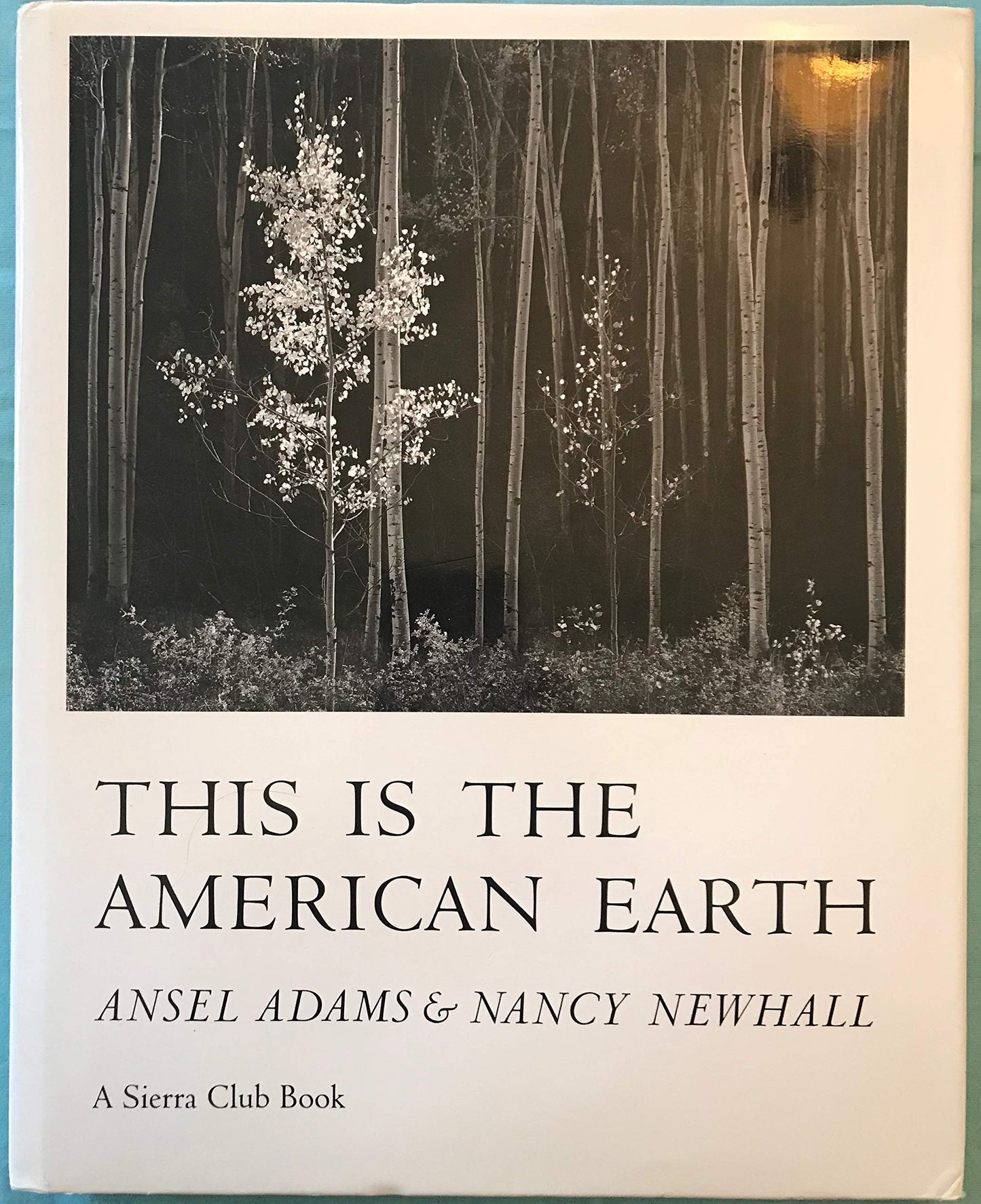 Sch-This Is Am.Earth