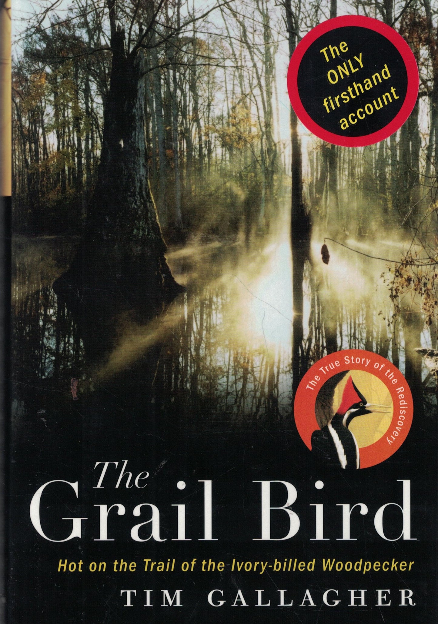 Grail Bird: Hot on the Trail of the Ivory-Billed Woodpecker book cover