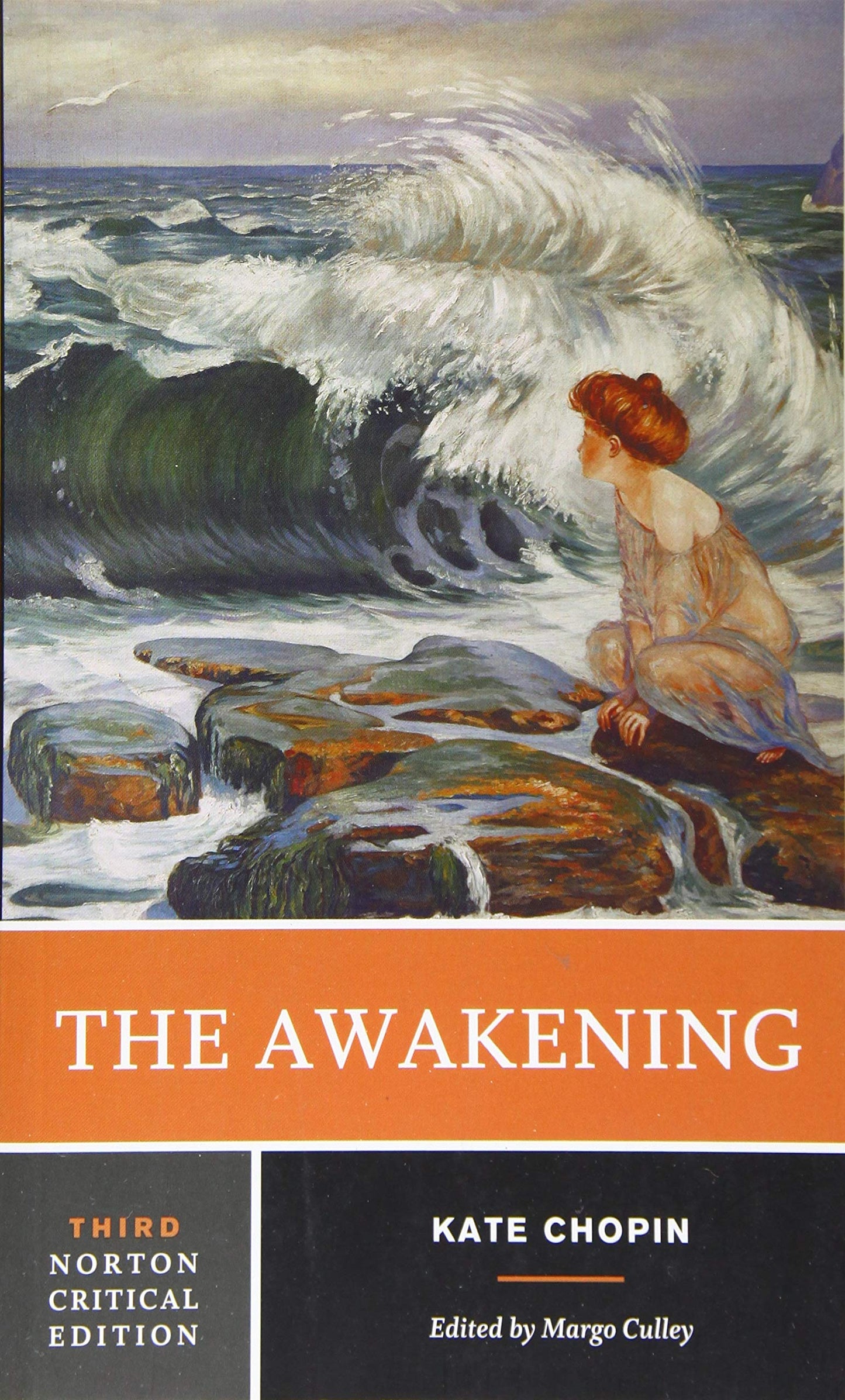 Awakening: A Norton Critical Edition book cover