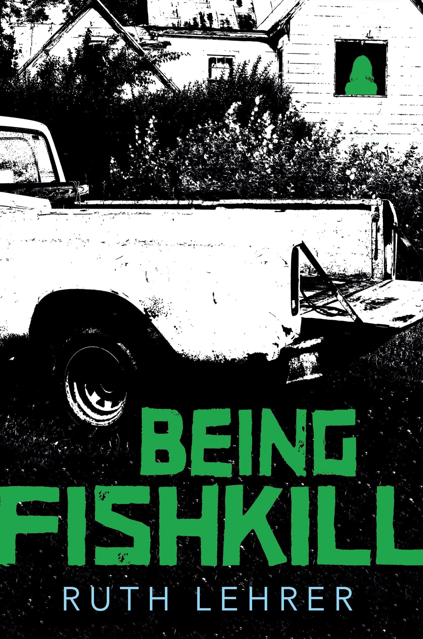 Being Fishkill book cover