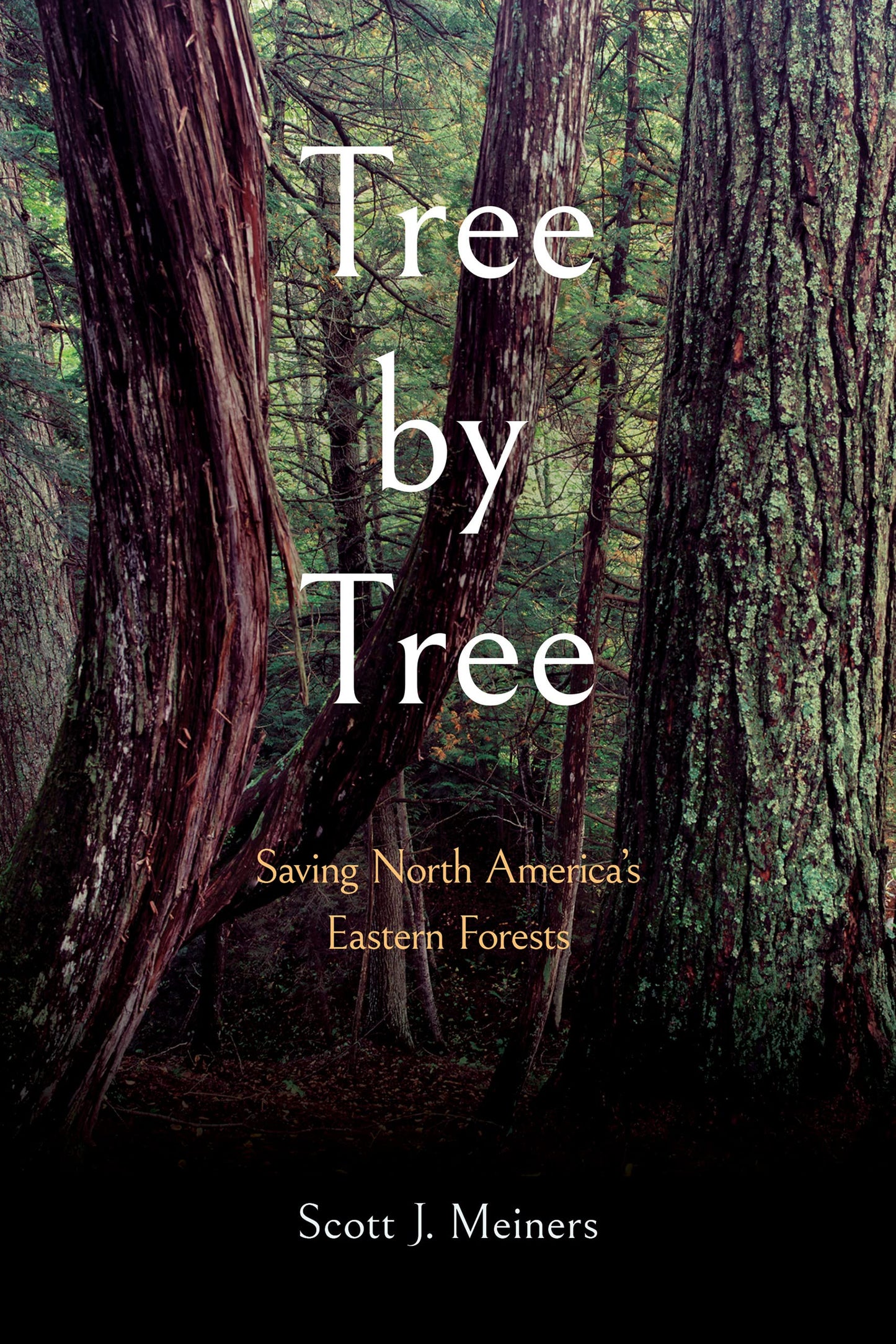 Tree by Tree: Saving North America's Eastern Forests book cover