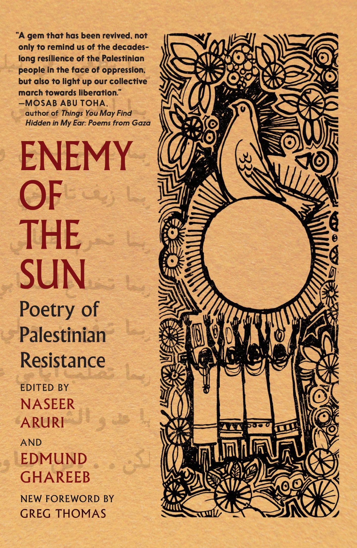 Enemy of the Sun book cover