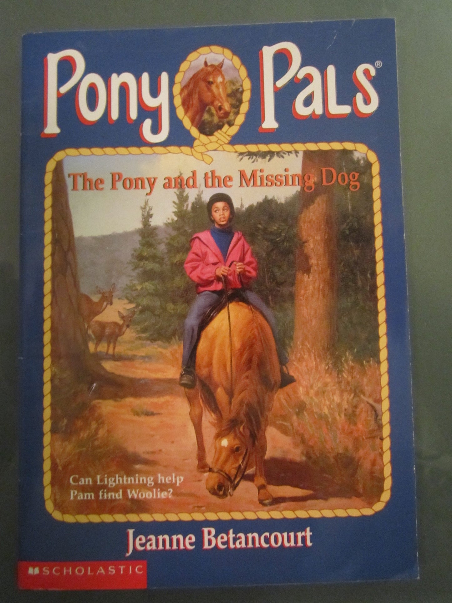 Pony and the Missing Dog book cover