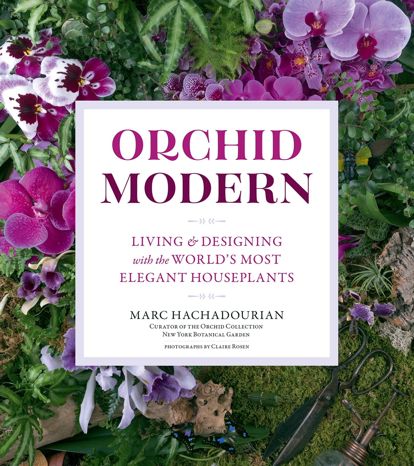 Orchid Modern: Living and Designing with the World's Most Elegant Houseplants book cover