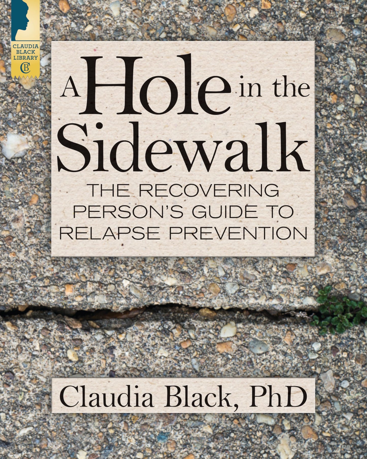 Hole in the Sidewalk: The Recovering Person's Guide to Relapse Prevention book cover