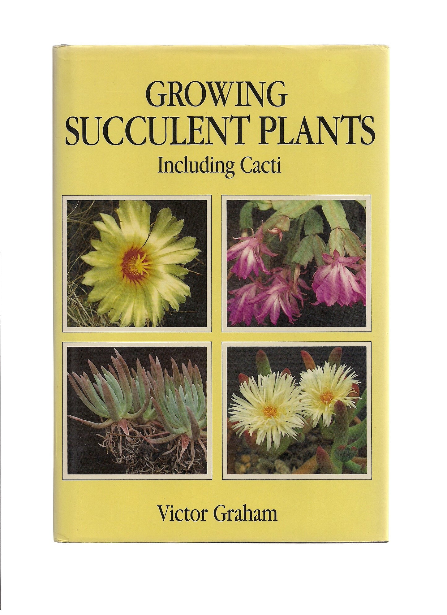 Growing Succulent Plants book cover