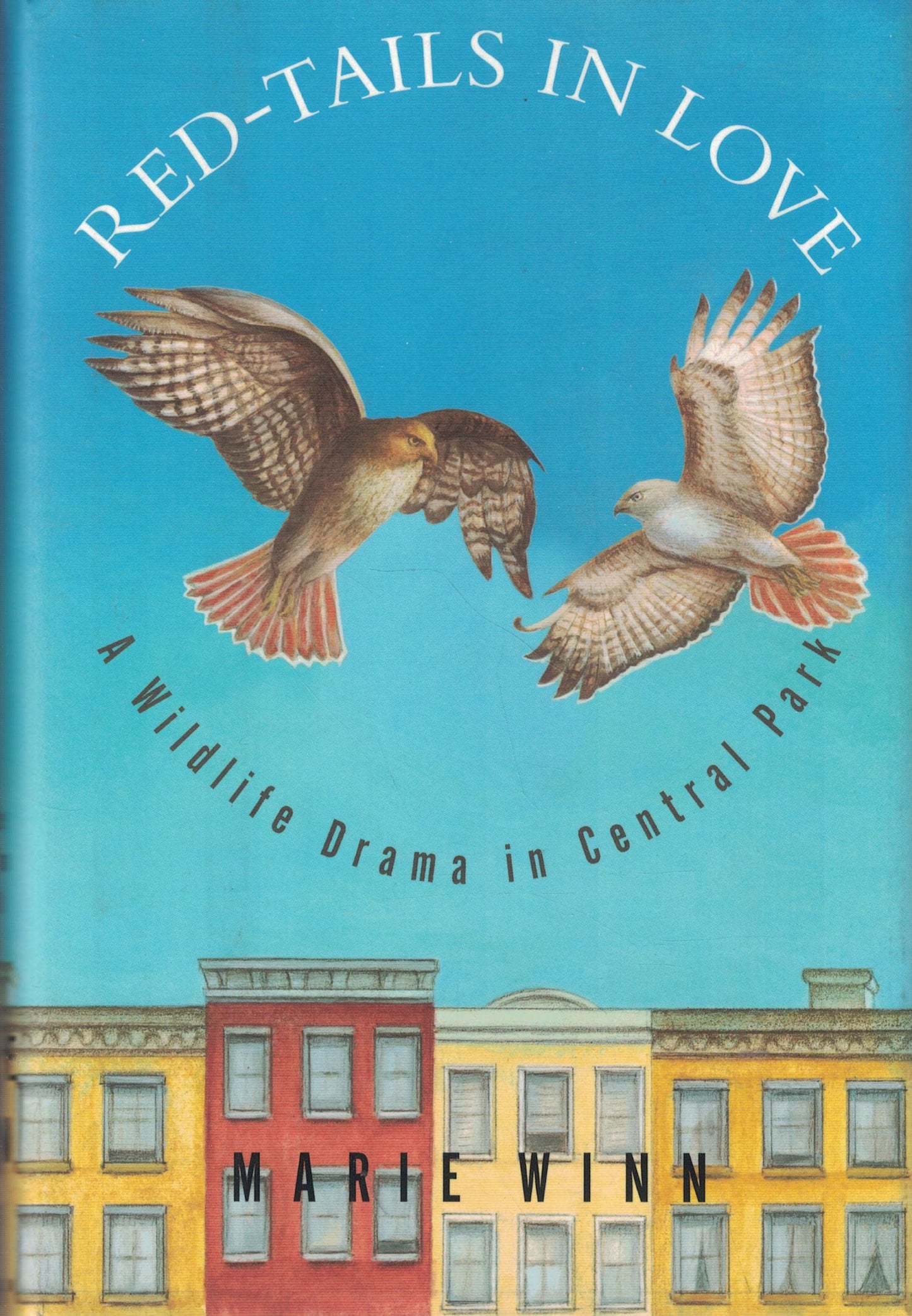 Red-Tails in Love: A Wildlife Drama in Central Park book cover