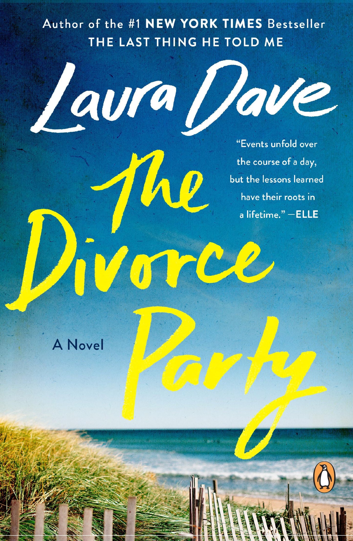 Divorce Party book cover