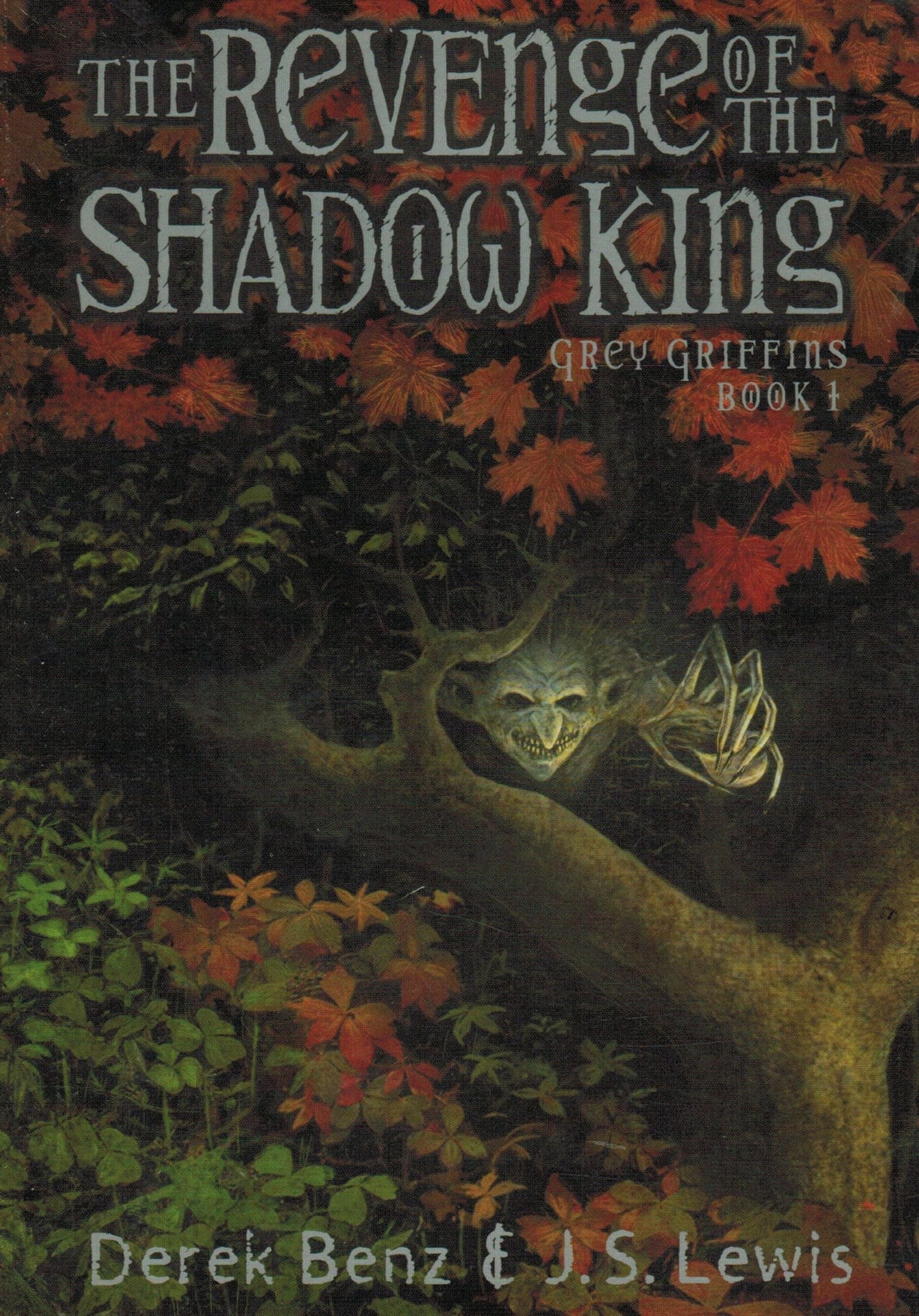 The Revenge of the Shadow King book cover