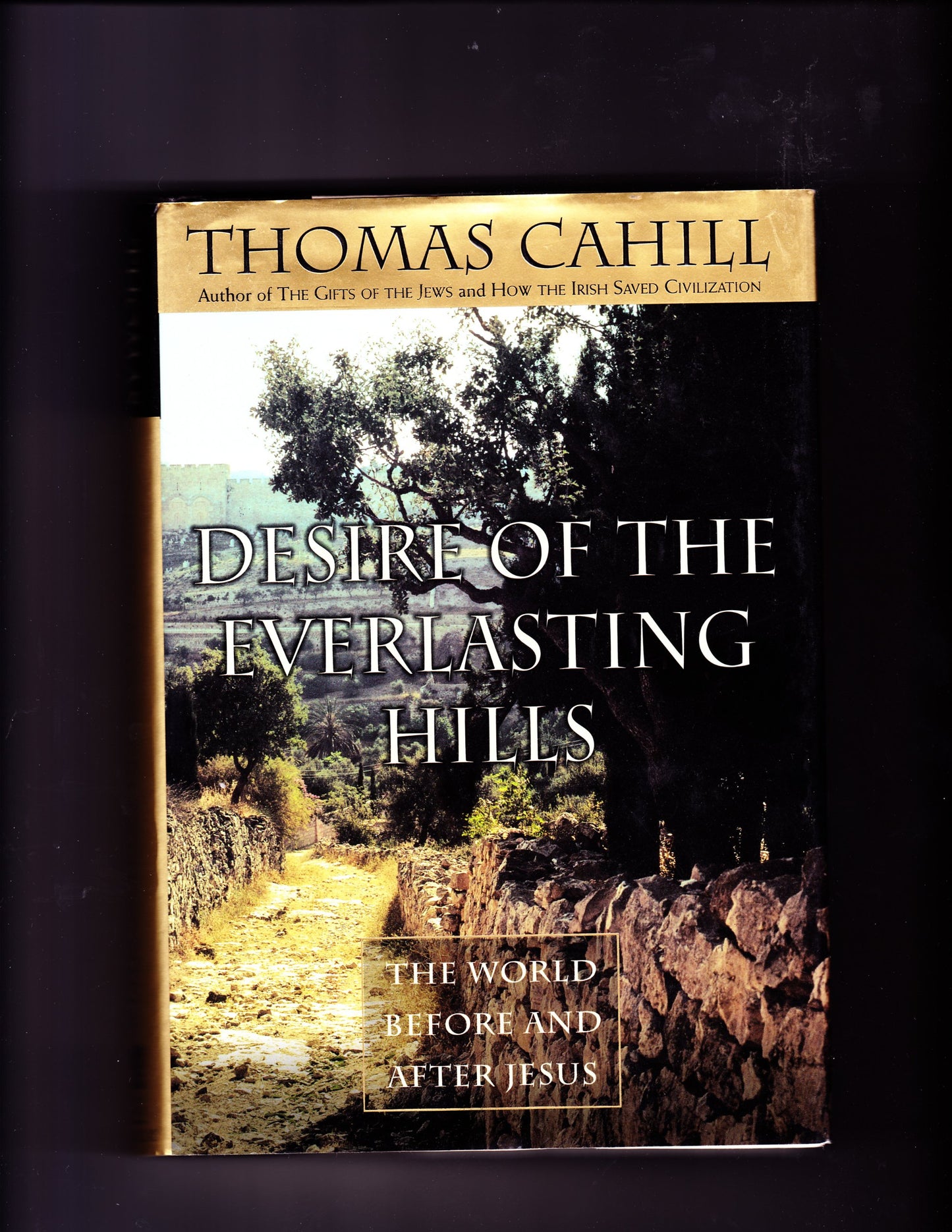 Desire of the Everlasting Hills: The World Before and After Jesus book cover