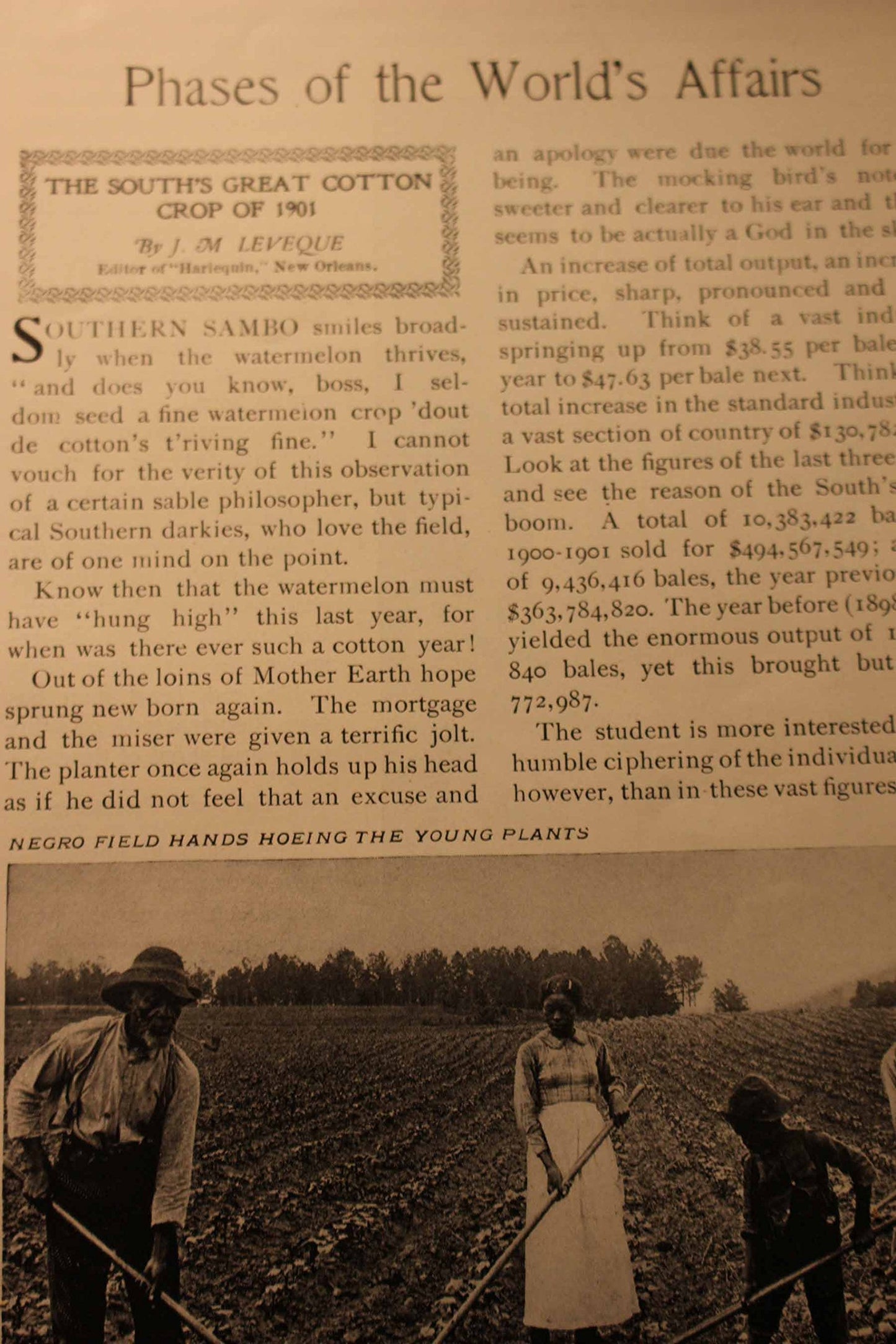 Pruning Book book cover