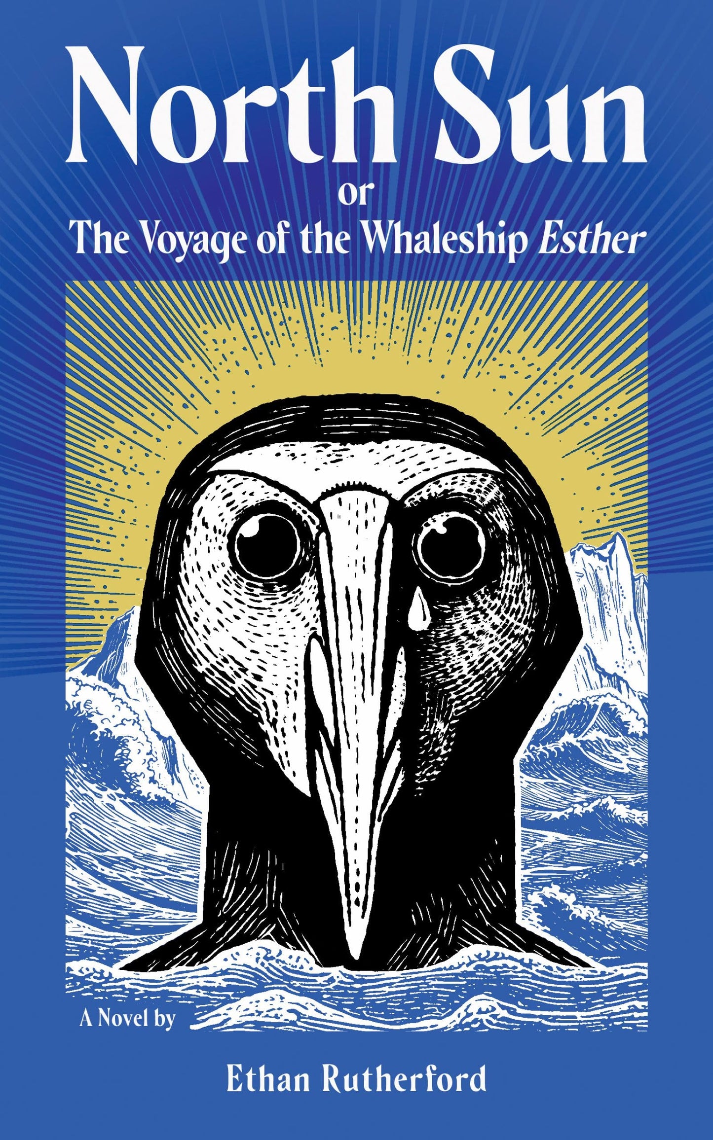 North Sun book cover