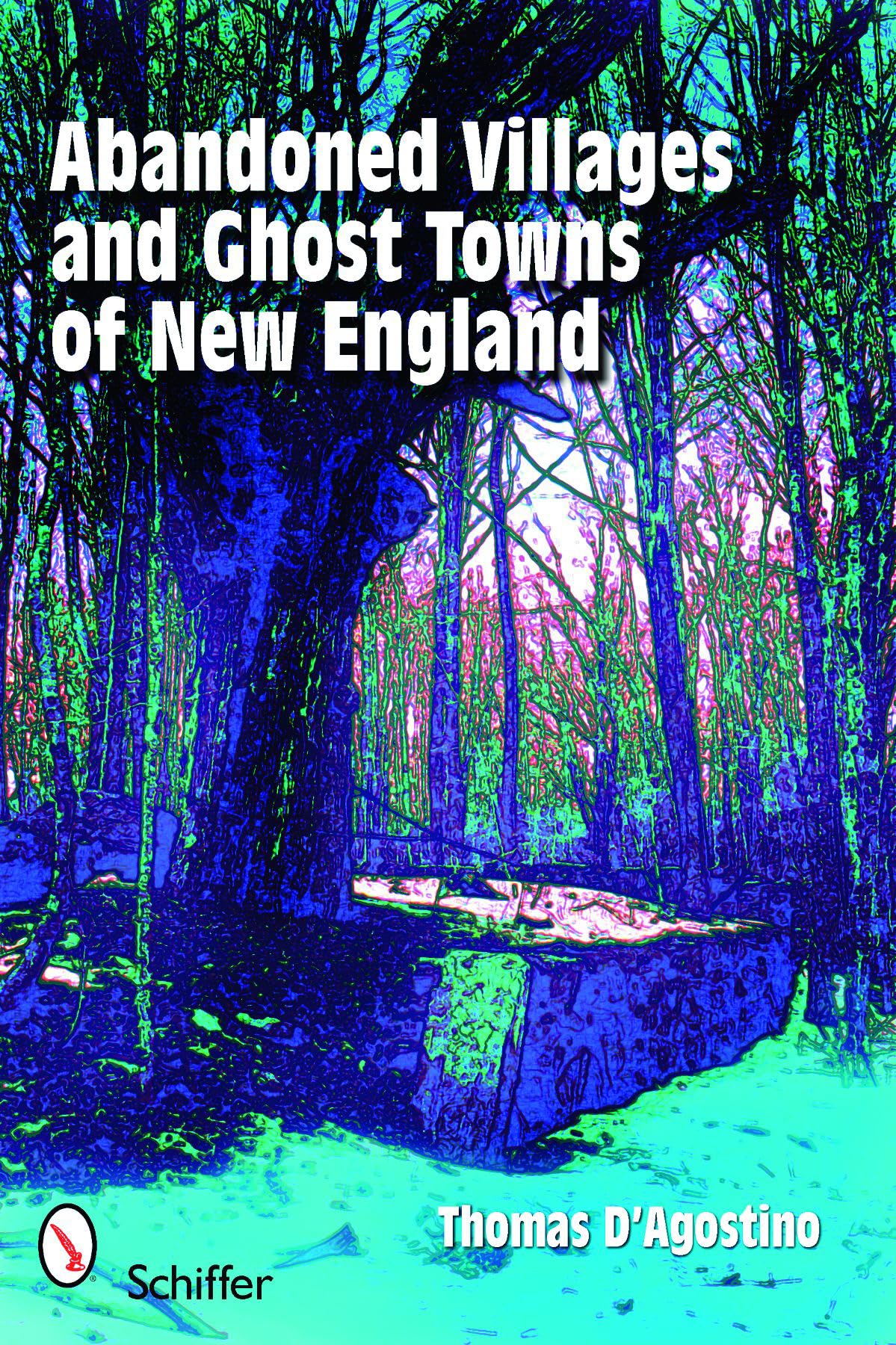 Abandoned Villages and Ghost Towns of New England book cover