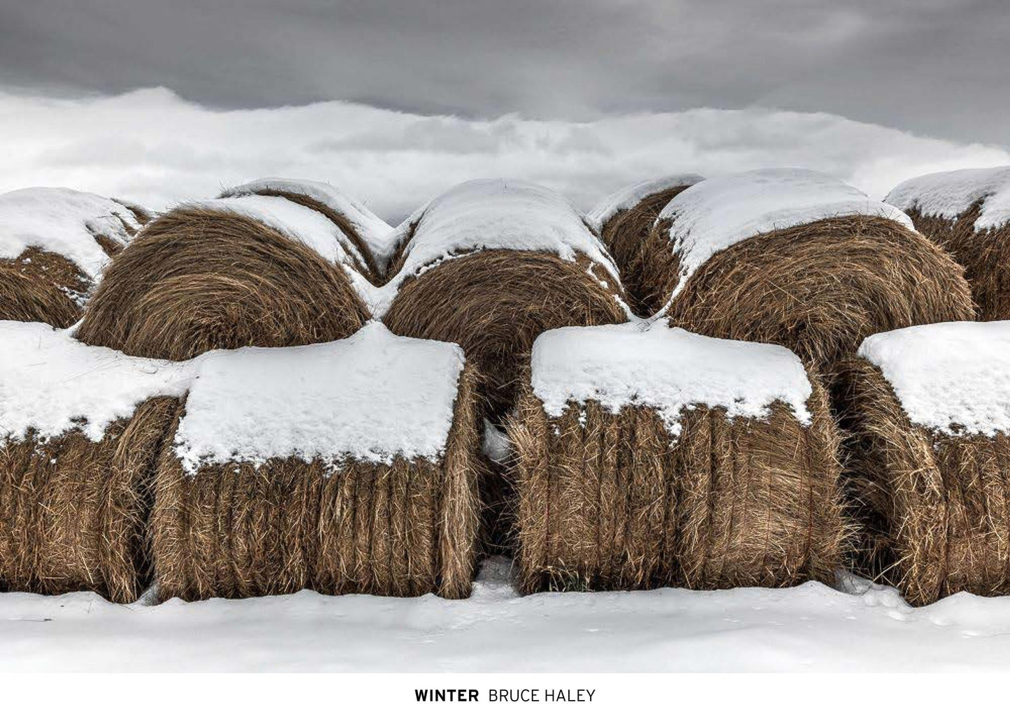 Winter book cover