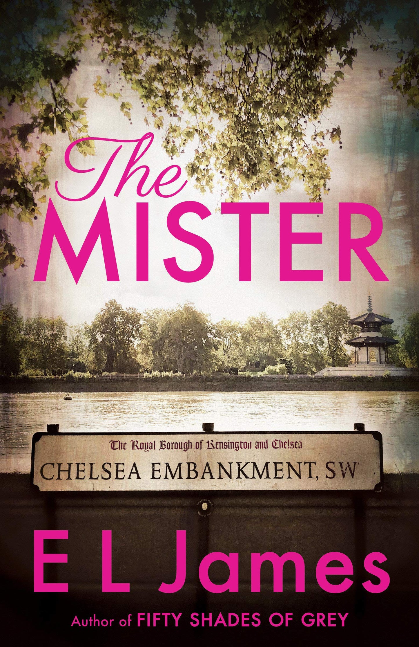 Mister book cover