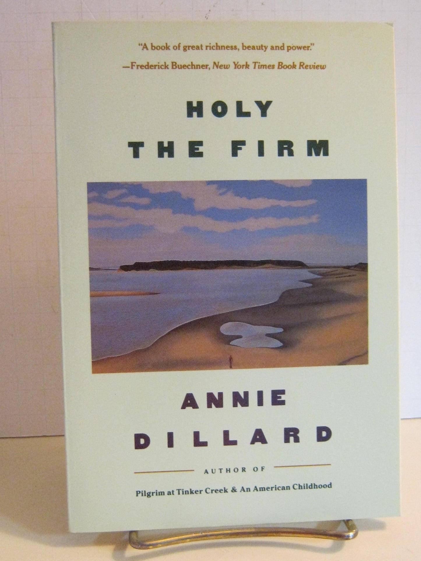 Holy the Firm book cover